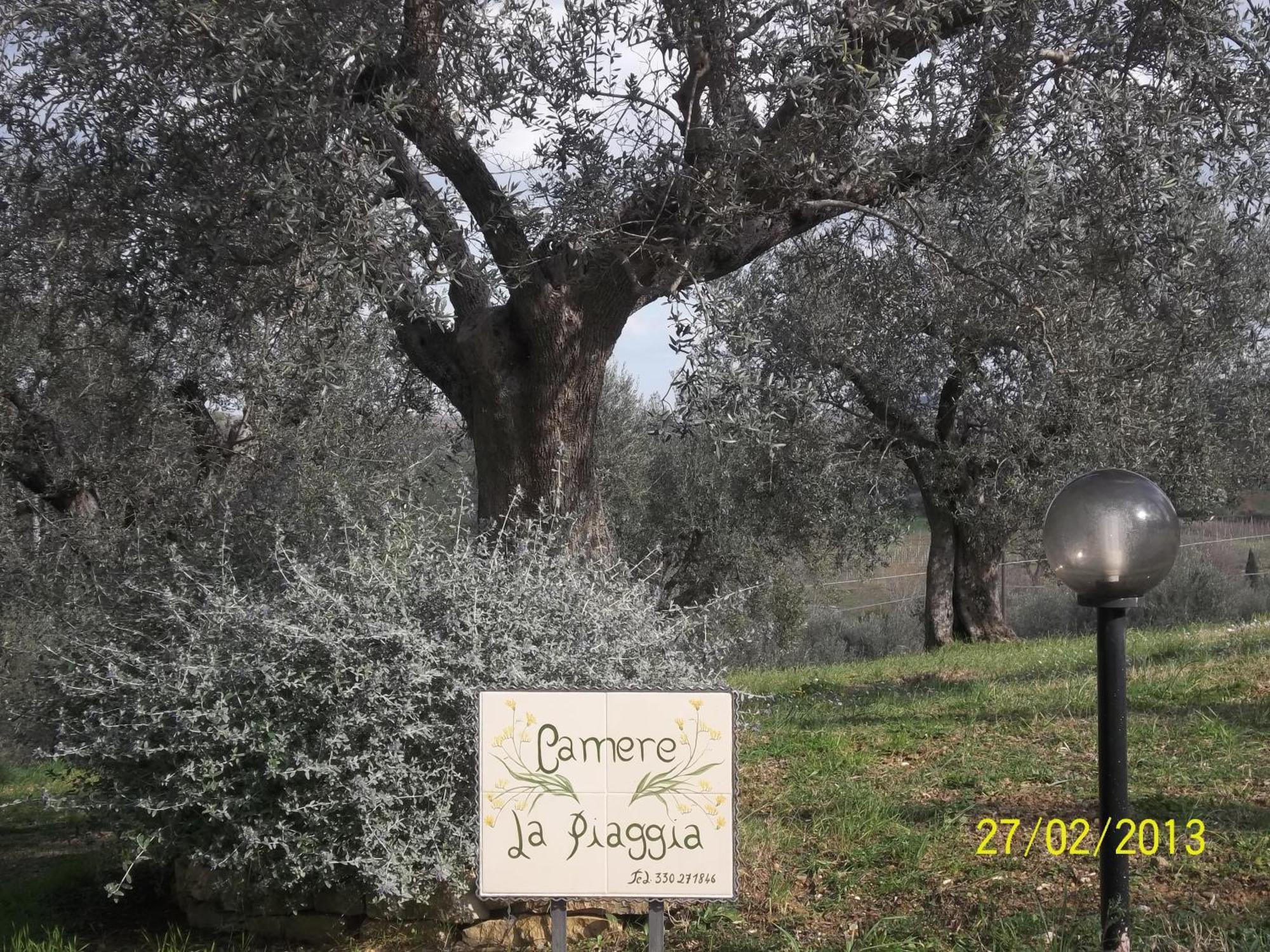 B&B La Piaggia Montemerano Exteriér fotografie
