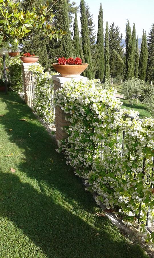 B&B La Piaggia Montemerano Exteriér fotografie